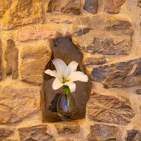 Castello Di Petrata Ασίζη