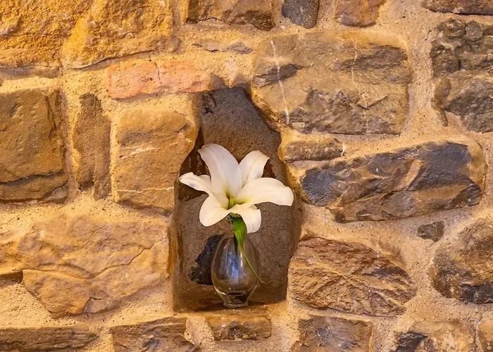 Castello Di Petrata Assisi
